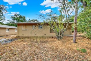 Single Family Residence,  Petaluma avenue, Sonoma, CA 95476 - 63