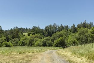 Single Family Residence,  Green Valley road, Sebastopol, CA 95472 - 3
