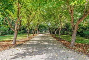 Single Family Residence,  Tallent lane, Yountville, CA 94599 - 78