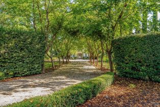 Single Family Residence,  Tallent lane, Yountville, CA 94599 - 2