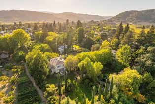 Single Family Residence,  Tallent lane, Yountville, CA 94599 - 79