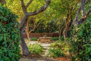 Single Family Residence,  Tallent lane, Yountville, CA 94599 - 73