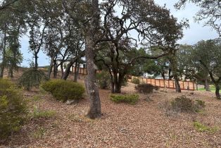 Residential Lot,  Llyn Glaslyn place, Santa Rosa, CA 95403 - 11