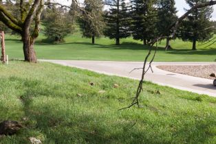 Residential Lot,  Llyn Glaslyn place, Santa Rosa, CA 95403 - 8