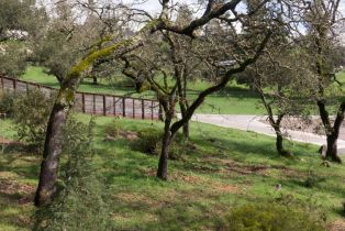 Residential Lot,  Llyn Glaslyn place, Santa Rosa, CA 95403 - 19