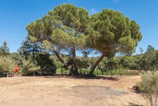 Residential Acreage,  Lovall Valley road, Sonoma, CA 95476 - 46