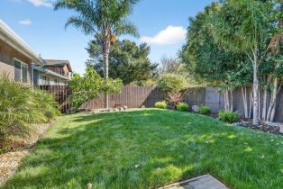 Single Family Residence,  Cedarwood lane, Petaluma, CA 94954 - 43