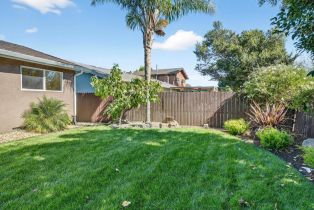 Single Family Residence,  Cedarwood lane, Petaluma, CA 94954 - 44