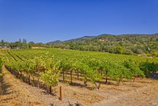 Agriculture,  Highway 12 none, Sonoma, CA 95476 - 14
