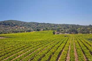 Agriculture,  Highway 12 none, Sonoma, CA 95476 - 6