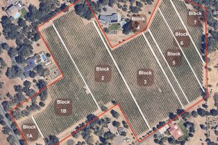 Agriculture,  Highway 12 none, Sonoma, CA 95476 - 24