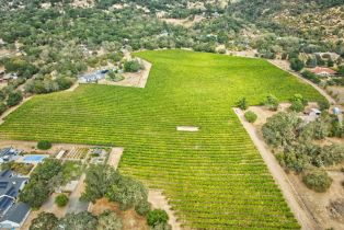 Agriculture,  Highway 12 none, Sonoma, CA 95476 - 16