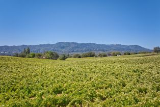 Agriculture,  Highway 12 none, Sonoma, CA 95476 - 19