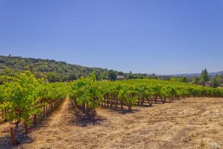 Agriculture,  Highway 12 none, Sonoma, CA 95476 - 13