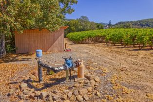 Agriculture,  Highway 12 none, Sonoma, CA 95476 - 23