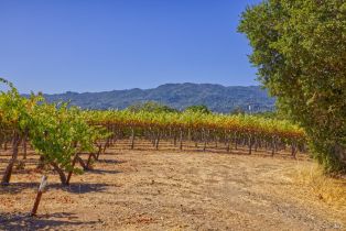Agriculture,  Highway 12 none, Sonoma, CA 95476 - 11