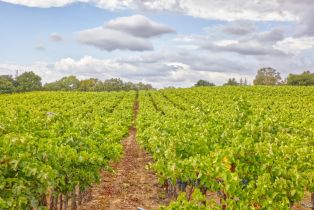 Agriculture,  Highway 12 none, Sonoma, CA 95476 - 7