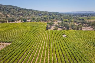 Agriculture,  Highway 12 none, Sonoma, CA 95476 - 22