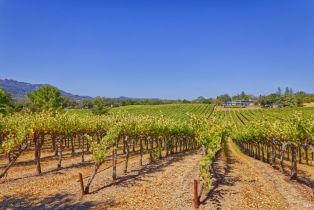 Agriculture,  Highway 12 none, Sonoma, CA 95476 - 2
