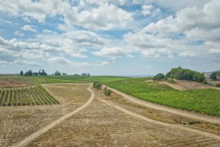 Agriculture,  Stage Gulch road, Petaluma, CA 94954 - 22