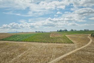 Agriculture,  Stage Gulch road, Petaluma, CA 94954 - 23