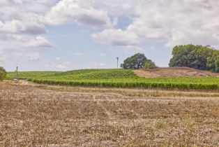 Agriculture,  Stage Gulch road, Petaluma, CA 94954 - 21