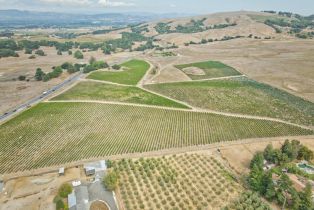 Agriculture,  Stage Gulch road, Petaluma, CA 94954 - 26