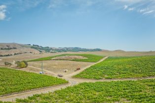 Agriculture,  Stage Gulch road, Petaluma, CA 94954 - 25