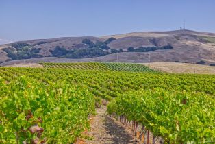 Agriculture,  Stage Gulch road, Petaluma, CA 94954 - 3