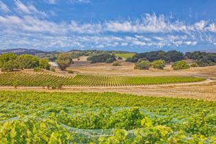 Agriculture,  Stage Gulch road, Petaluma, CA 94954 - 4
