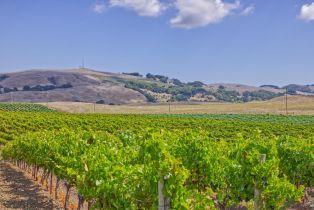 Agriculture,  Stage Gulch road, Petaluma, CA 94954 - 12