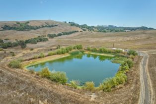 Agriculture,  Stage Gulch road, Petaluma, CA 94954 - 7