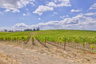 Agriculture,  Stage Gulch road, Petaluma, CA 94954 - 2