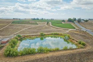 Agriculture,  Stage Gulch road, Petaluma, CA 94954 - 8