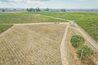 Agriculture,  Stage Gulch road, Petaluma, CA 94954 - 29