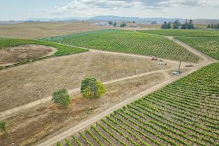 Agriculture,  Stage Gulch road, Petaluma, CA 94954 - 28
