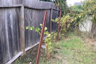 Single Family Residence,  Dale drive, Napa, CA 94558 - 23