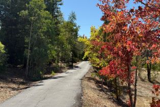 Single Family Residence, Chiquita road, Healdsburg, CA 95448 - 37