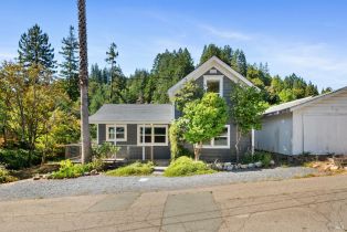 Single Family Residence,  Church street, Occidental, CA 95465 - 2