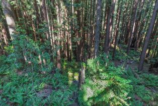 Single Family Residence,  River Beach road, Sea Ranch, CA 95497 - 24