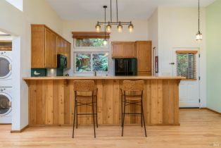 Single Family Residence,  River Beach road, Sea Ranch, CA 95497 - 13