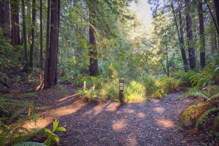 Single Family Residence,  River Beach road, Sea Ranch, CA 95497 - 27