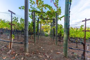 Single Family Residence, Westview drive, Napa, CA 94558 - 33