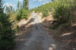 Residential Lot,  Mill Creek road, Healdsburg, CA 95448 - 15