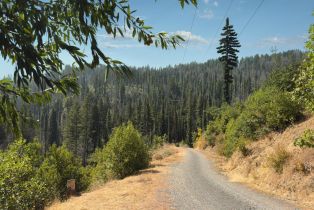 Residential Lot,  Mill Creek road, Healdsburg, CA 95448 - 27