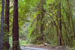 Single Family Residence,  Mill Creek road, Healdsburg, CA 95448 - 3