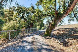 Residential Acreage,  Petaluma Hill road, Santa Rosa, CA 95404 - 45