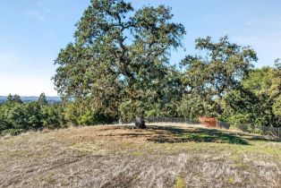 Residential Acreage,  Petaluma Hill road, Santa Rosa, CA 95404 - 37