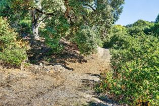 Residential Acreage,  Petaluma Hill road, Santa Rosa, CA 95404 - 38