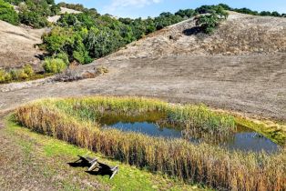 Residential Acreage,  Petaluma Hill road, Santa Rosa, CA 95404 - 22